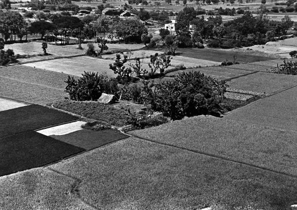 Somewhere in Tamil Nadu. Somewhere in Tamil Nadu. - photo by Dragan Nikolic, Fribourg / Zürich, Switzerland
