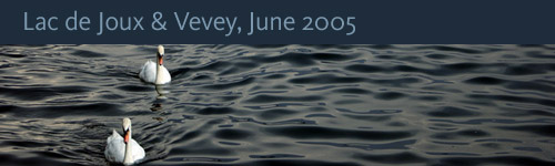 Lac de Joux, Vevey, June 2005