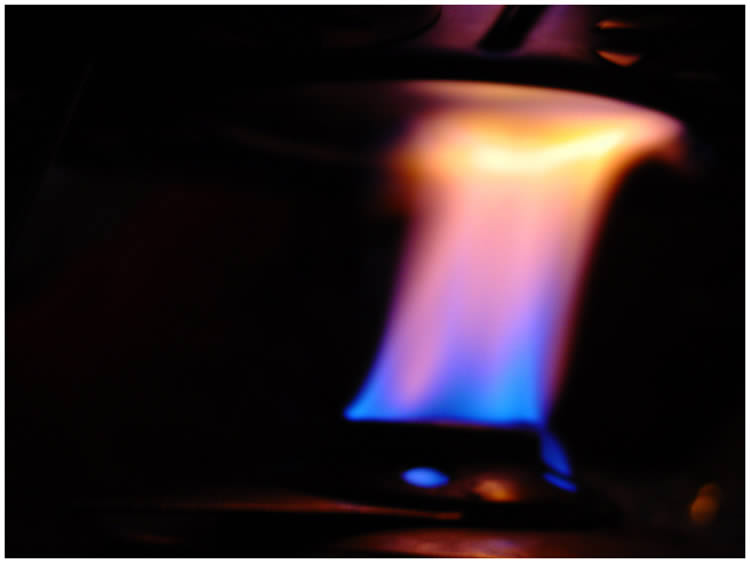 Photo by Dragan Nikolic, Zürich, Switzerland