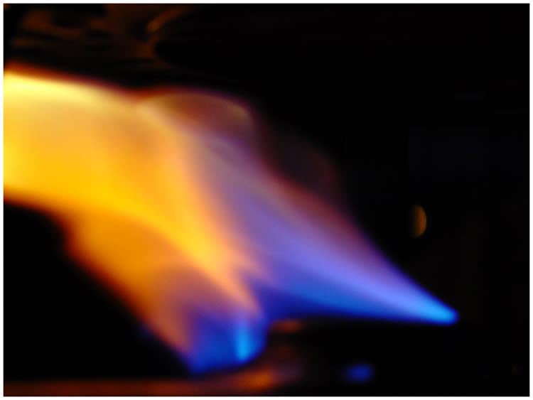 Photo by Dragan Nikolic, Zürich, Switzerland