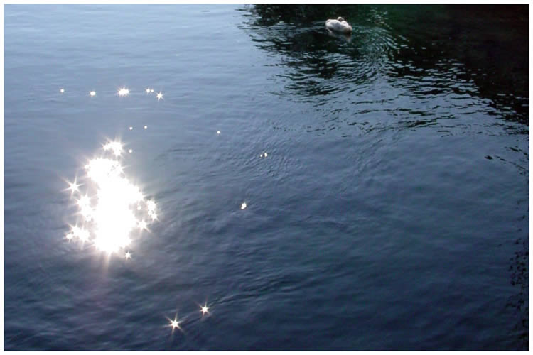 Photo by Dragan Nikolic, Zürich, Switzerland