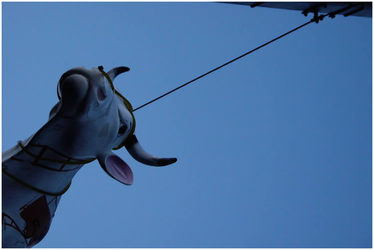 Photo by Dragan Nikolic, Zürich, Switzerland