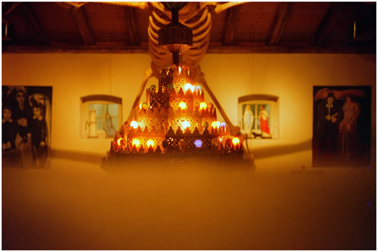 Photo by Dragan Nikolic, Zürich, Switzerland