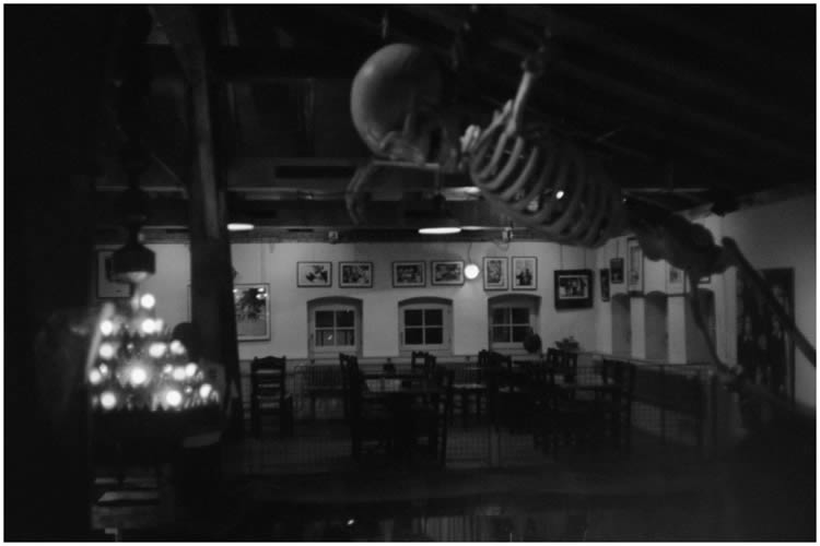 Photo by Dragan Nikolic, Zürich, Switzerland