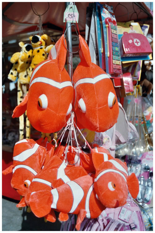 Photo by Dragan Nikolic, Zürich, Switzerland