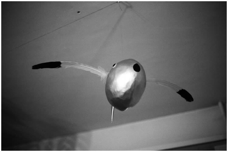 Photo by Dragan Nikolic, Zürich, Switzerland