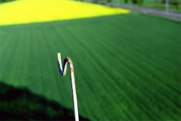 Photo by Dragan Nikolic, Zürich, Switzerland