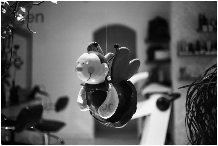 Photo by Dragan Nikolic, Zürich, Switzerland