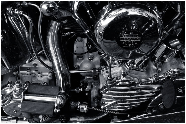 Photo by Dragan Nikolic, Zürich, Switzerland