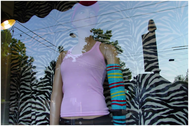 Photo by Dragan Nikolic, Zürich, Switzerland