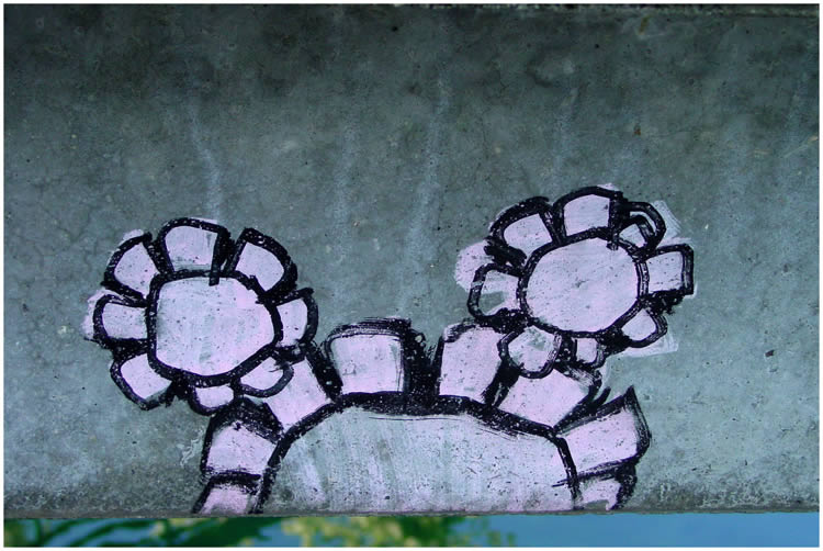 Photo by Dragan Nikolic, Zürich, Switzerland