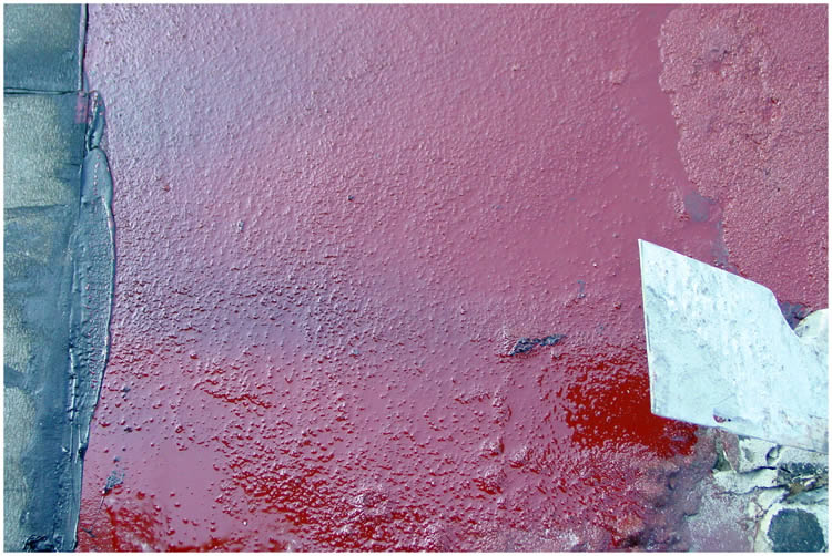 Photo by Dragan Nikolic, Zürich, Switzerland