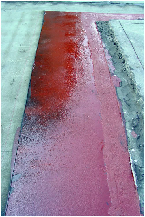 Photo by Dragan Nikolic, Zürich, Switzerland