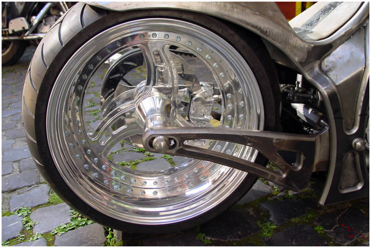 Photo by Dragan Nikolic, Zürich, Switzerland