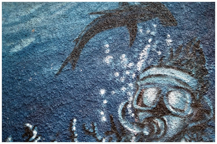 Photo by Dragan Nikolic, Zürich, Switzerland