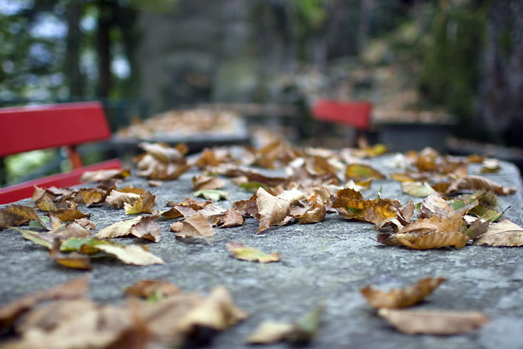 IMG_6343-autum-leaves-bellavista-tables