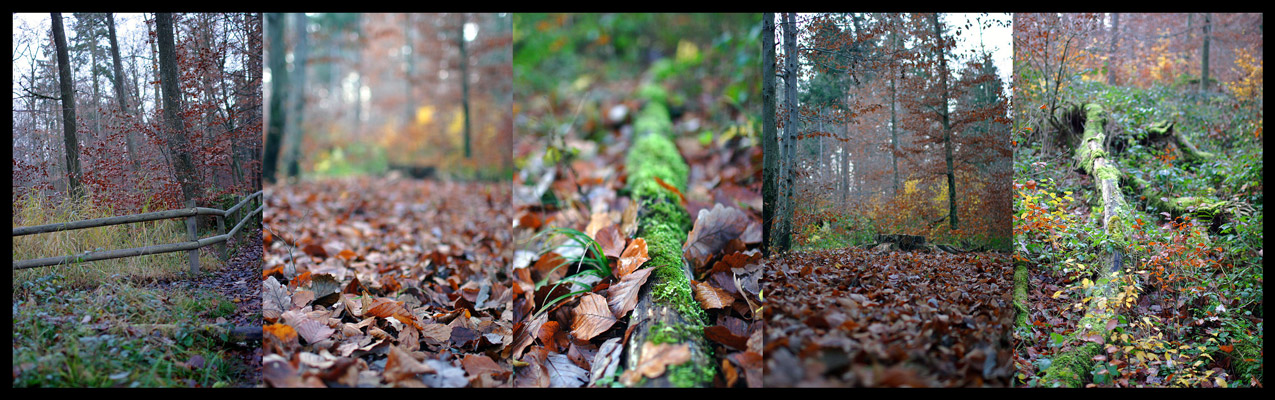 autumn-polyptych-small